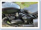 Auftragsarbeit Panter auf Triumpf "black panter" Auftragsarbeit Panter auf Triumpf "black panter"